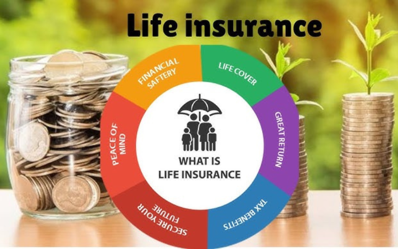 Life Insurance