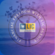 Financial Freedom With LIC Agency